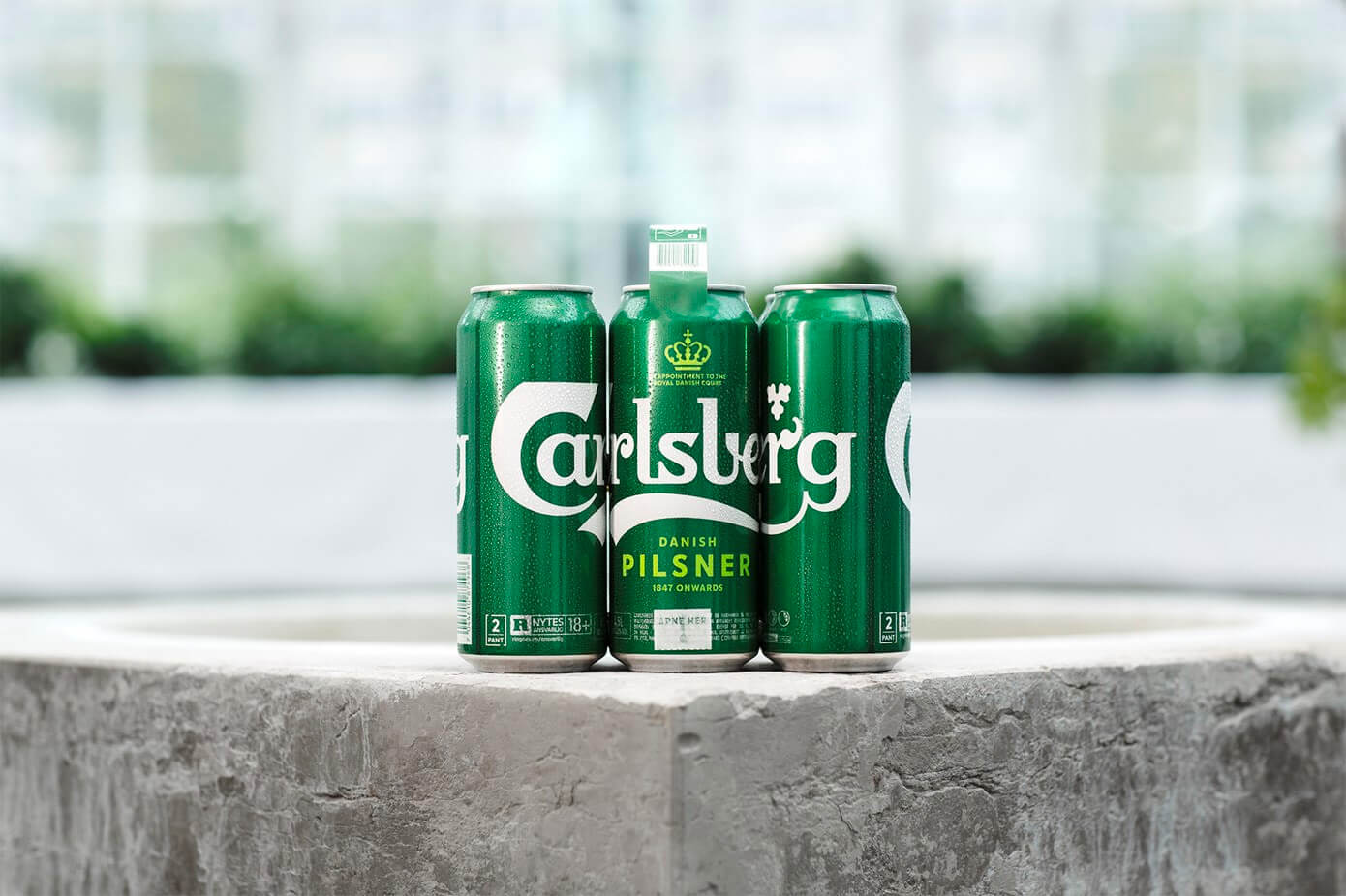 carlsberg snap pack paquete de seis cervezas